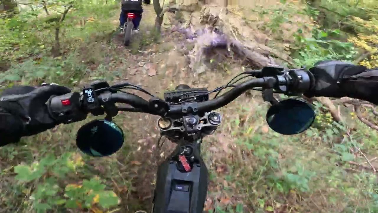 Gefährlicher Trail mit der Light bee & E-Ride