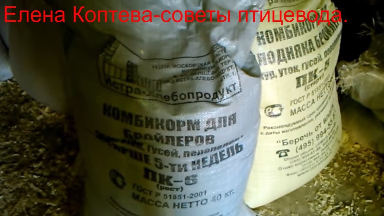 Рацион питания домашней птицы(куры, индейки,индоутки)