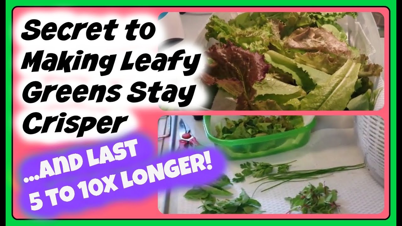 Secret to Making Leafy Greens, Lettuce Last 5-10x LONGER, Stay Crisper!