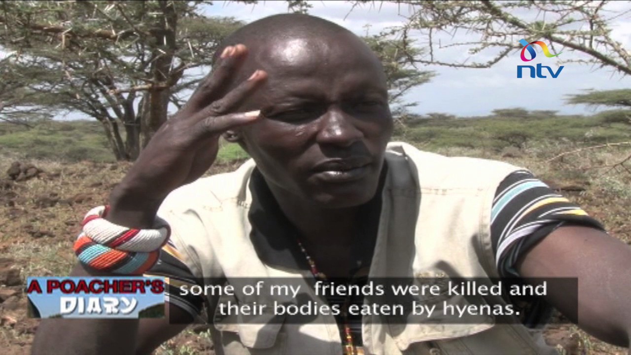 A Poacher's Diary