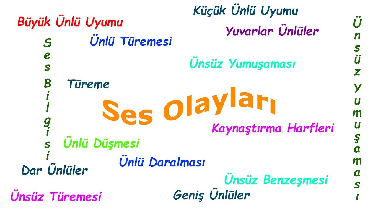 Ses Olayları (Ses Bilgisi)