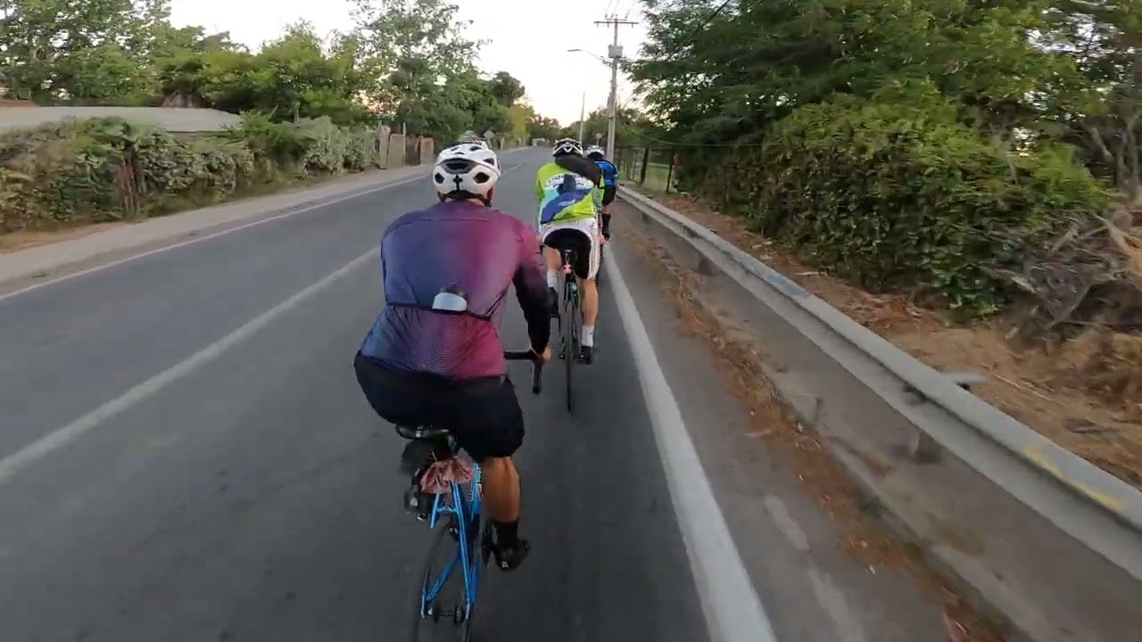 FIXIE 176