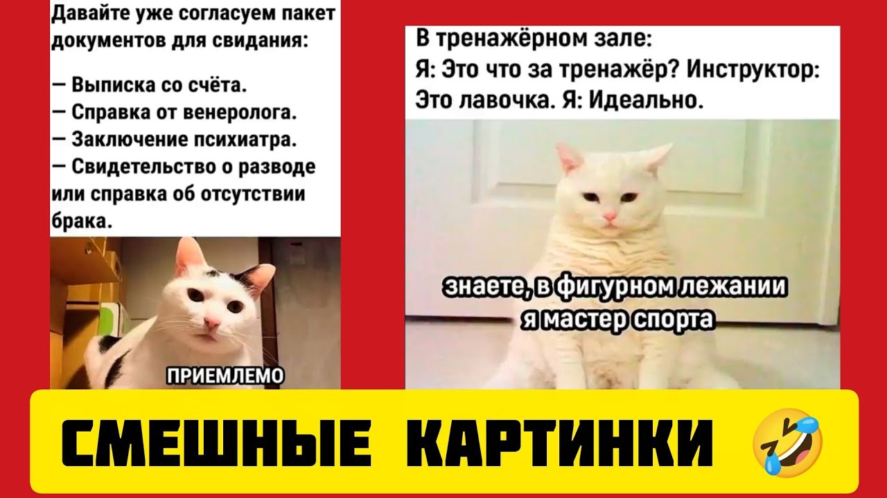 Это что за тренажёр? Инструктор:Это лавочка.Я: Идеально.знаете,в фигурном лежании Я мастер спорта🤣