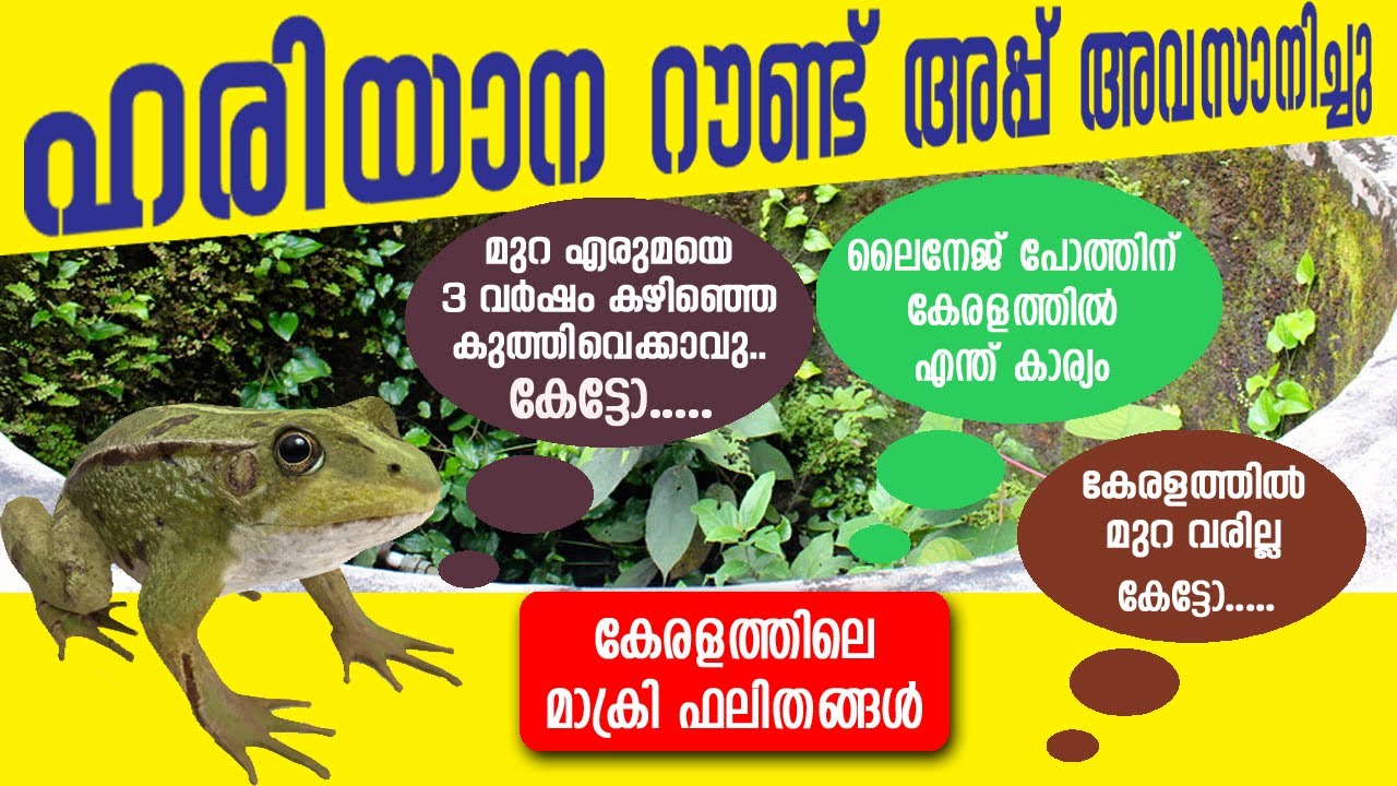 Haryana_Round_Up Successfully Finished With 31 Vlogs | മുറ ഒരു അവലോകനം തന്നെയായിരുന്നു..🐃 | Murrah