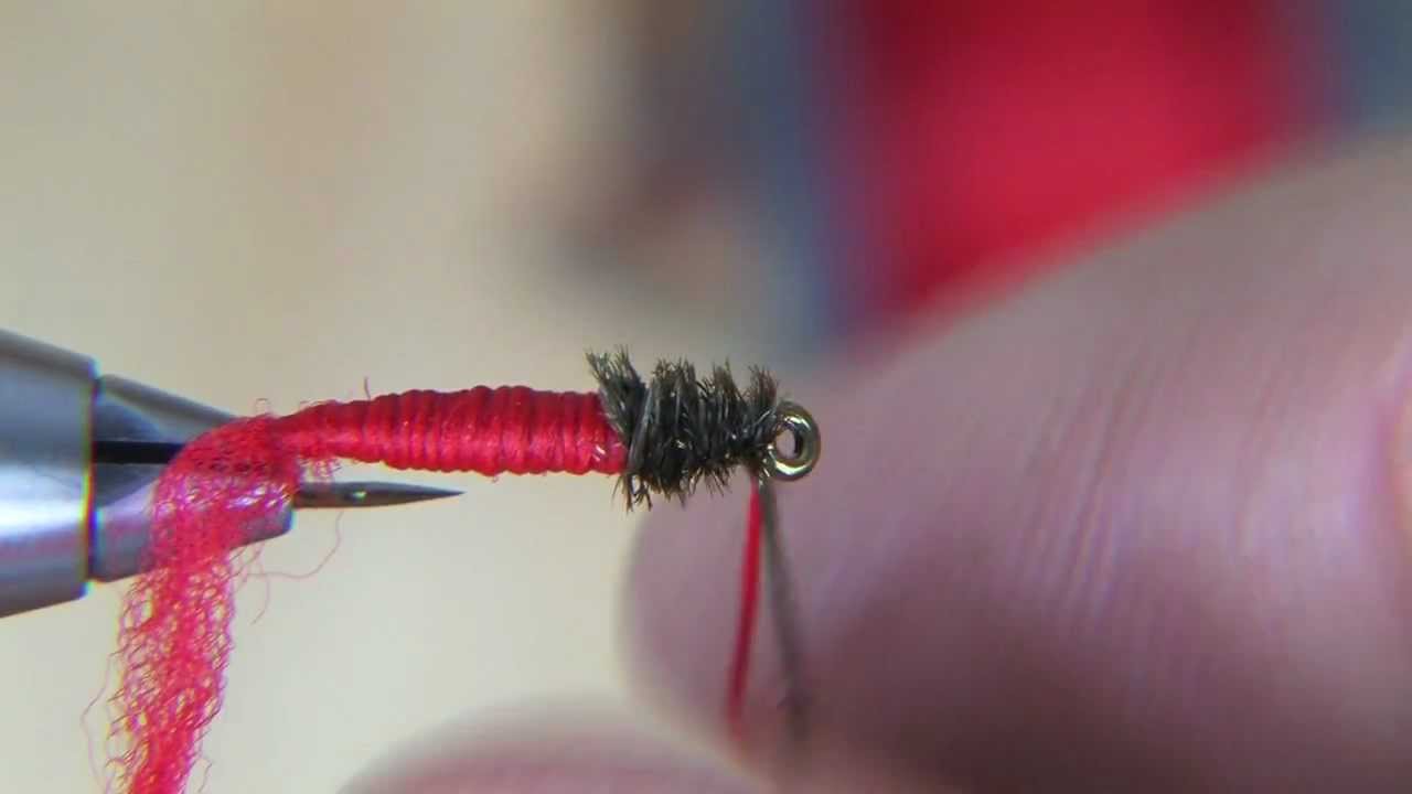 Zuckmückenlarve (Weißfischfliege) - Fliegenbinden bei etheonTV