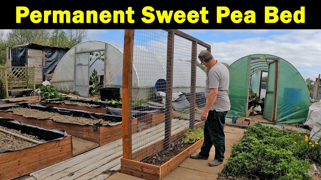 Permanent Sweet Pea Bed | No Dig Raised Bed | Bed with built in support | Green Side Up