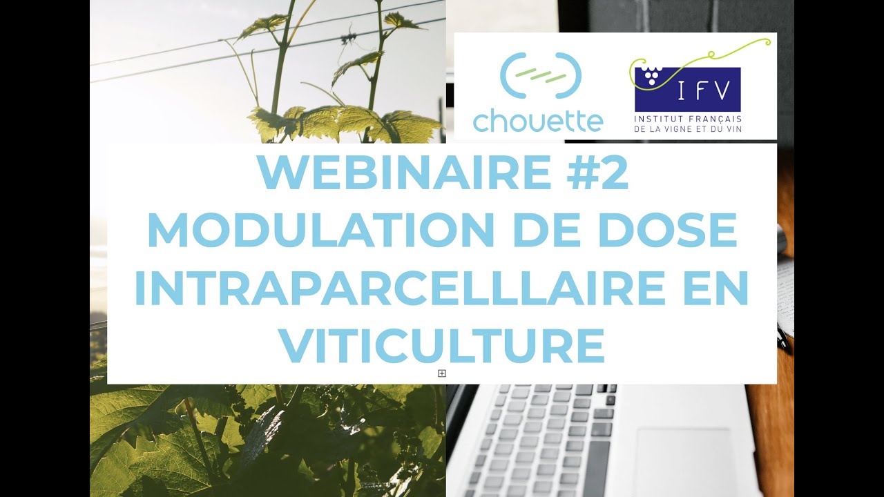 MODULATION DE DOSE EN VITICULTURE avec l'IFV- Webinaire 2022