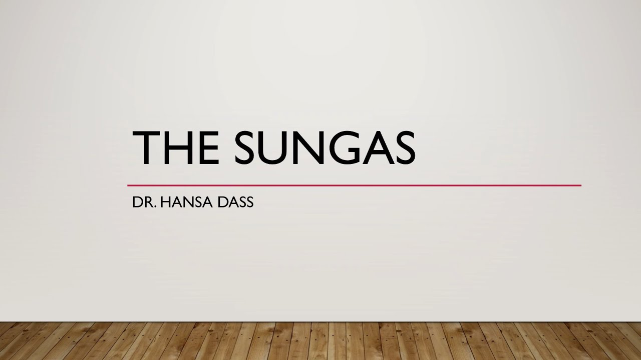 THE SUNGAS