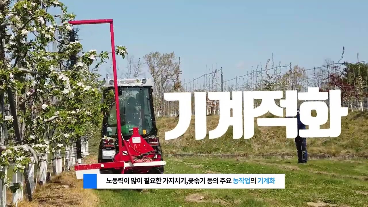 미래 사과 과수원은 이런 모습!(무인 방제&기계 가지치기 꽃따기)