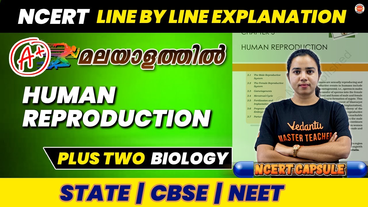 Human Reproduction| Plus Two Biology | State| CBSE|NEET| NCERT Line by Line