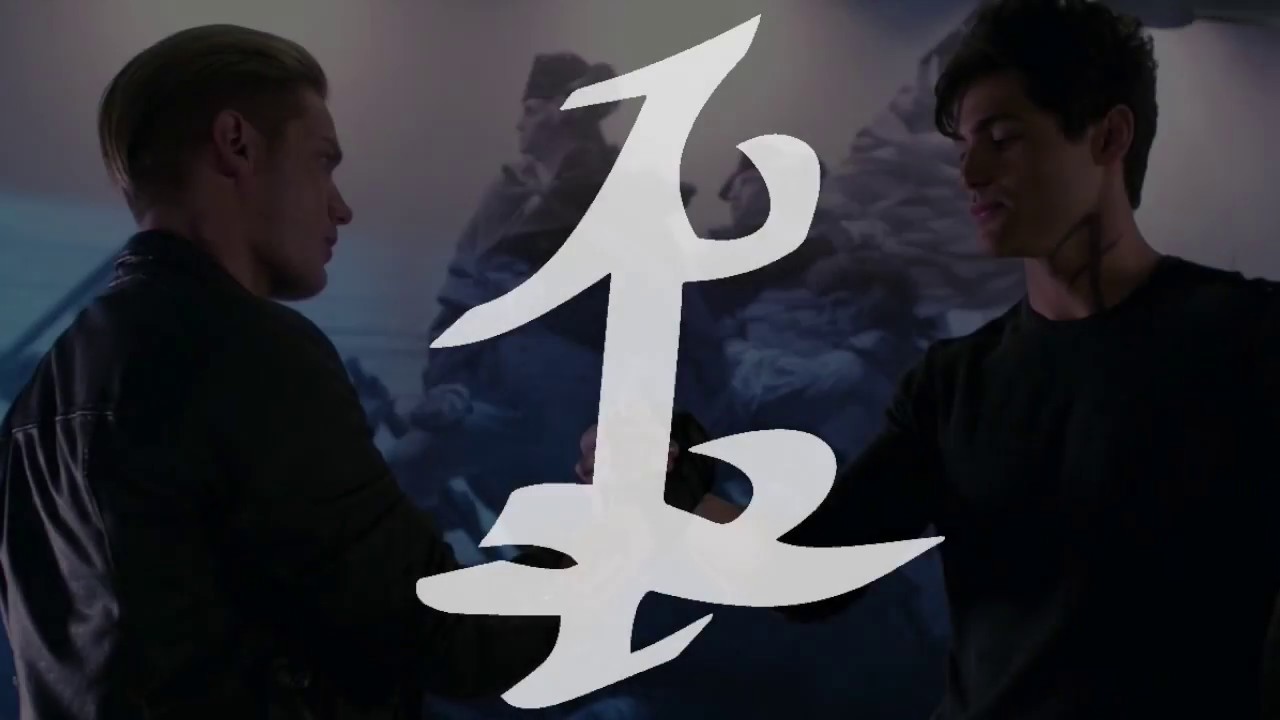 What Parabatai means (Jace x Alec)