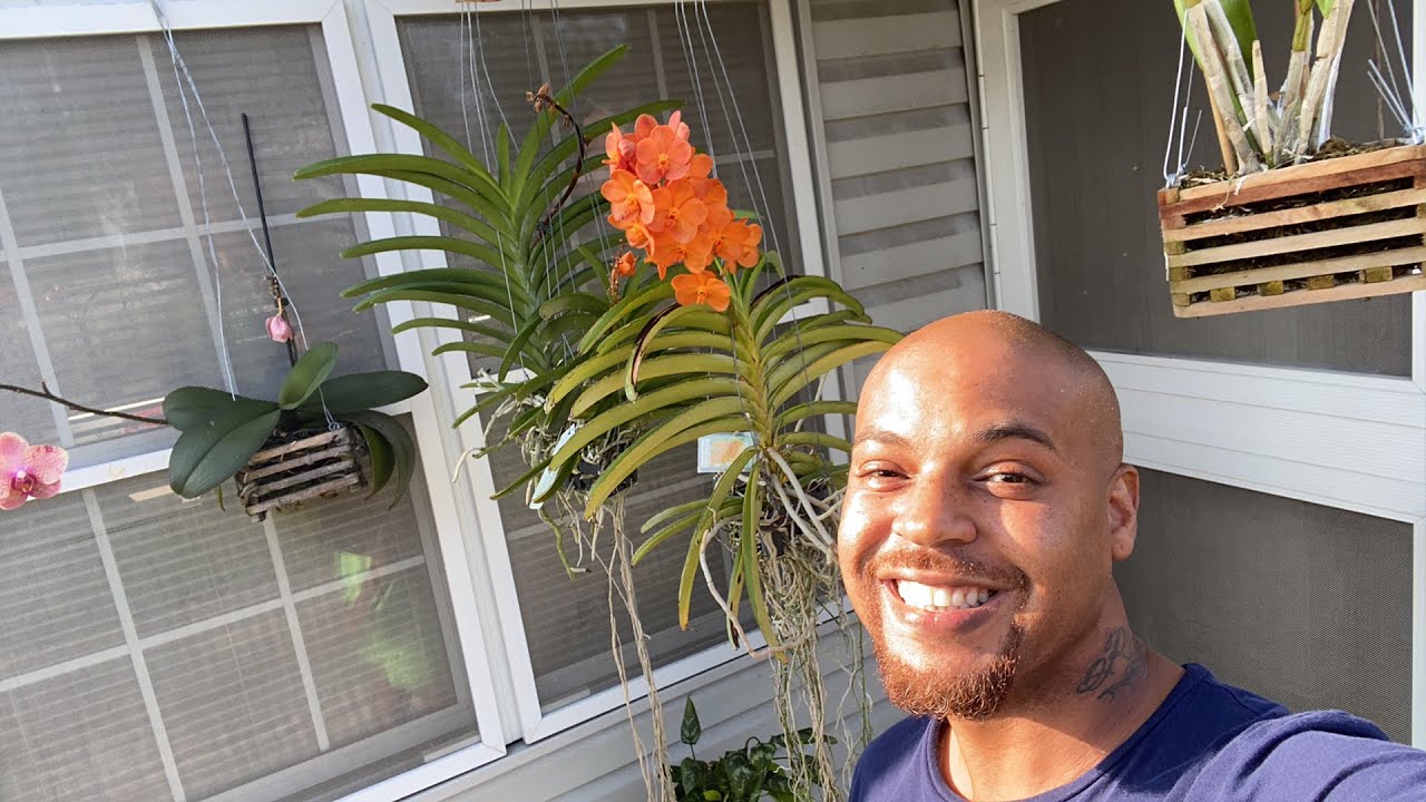 a time to plant, and a time to pluck up that which is planted | Monday Motivation