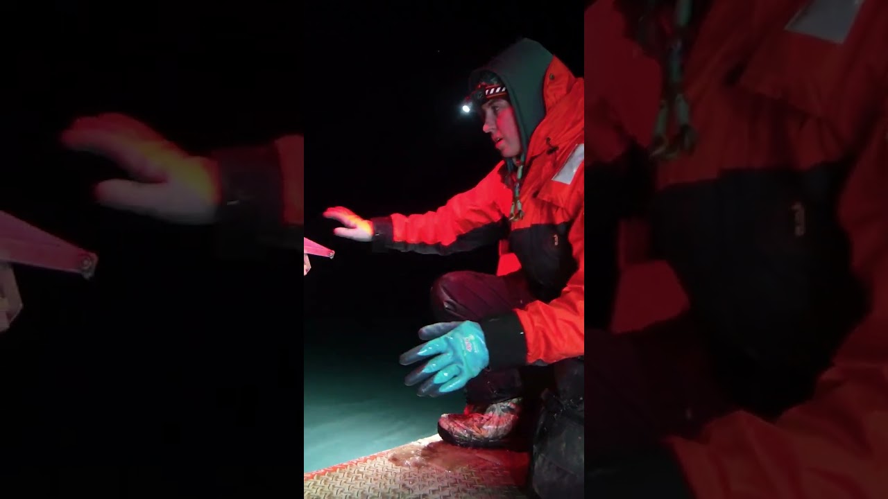 Behind the scenes: polar night research and filmmaking