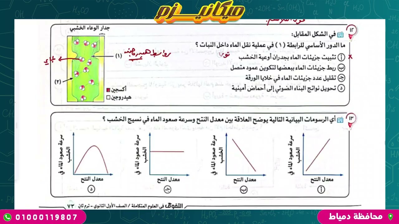 حل الدرس الثاني - كتاب التفوق - علوم متكاملة - العمليات الحيوية في الكائنات الحية