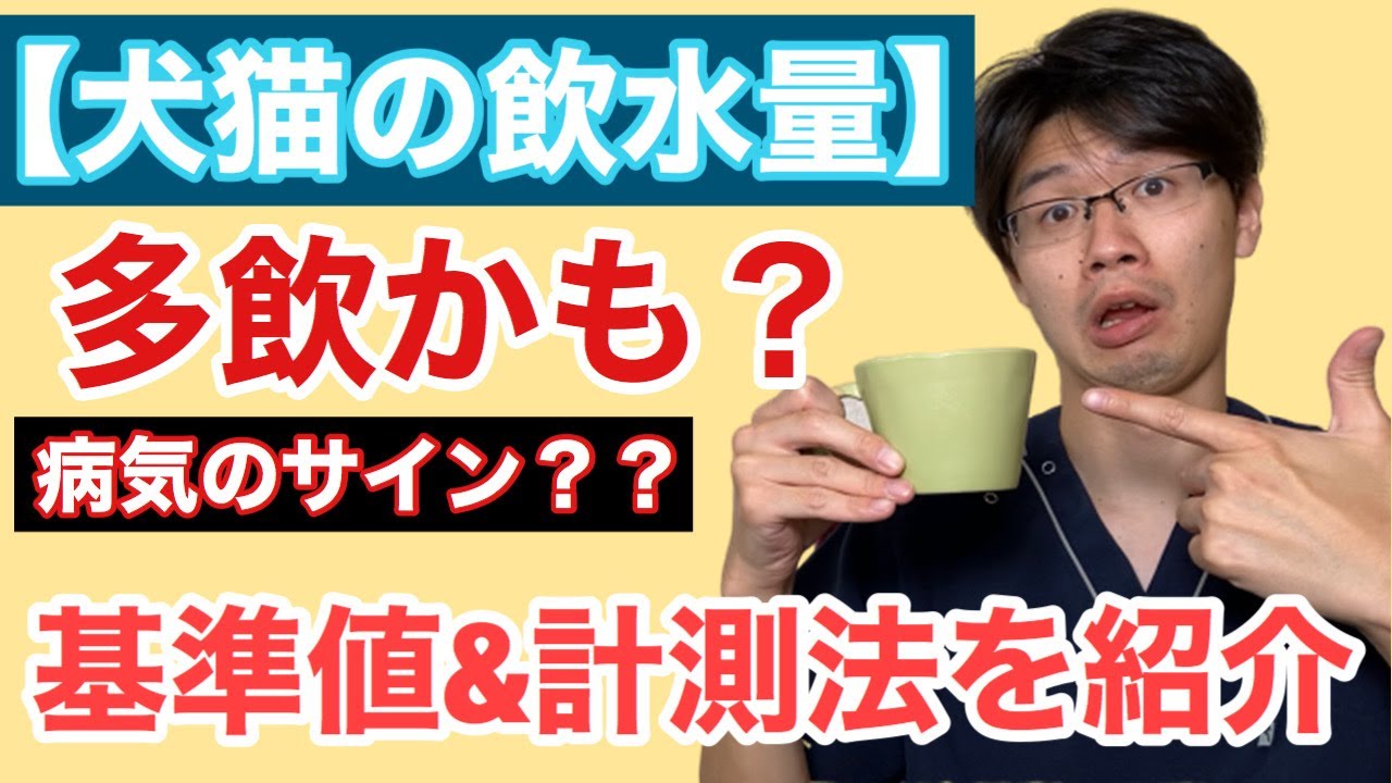 自宅でしっかり健康管理！犬猫の飲水量のお話【小動物獣医師のお話 Vol.64】
