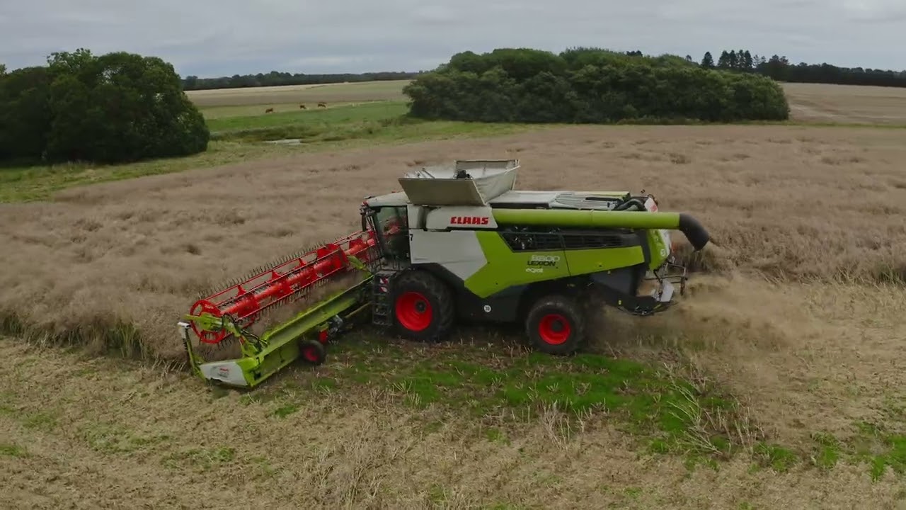 LEXION høst gennem Europa - Minidokumentar - Afsnit 3: Den danske kornhøst