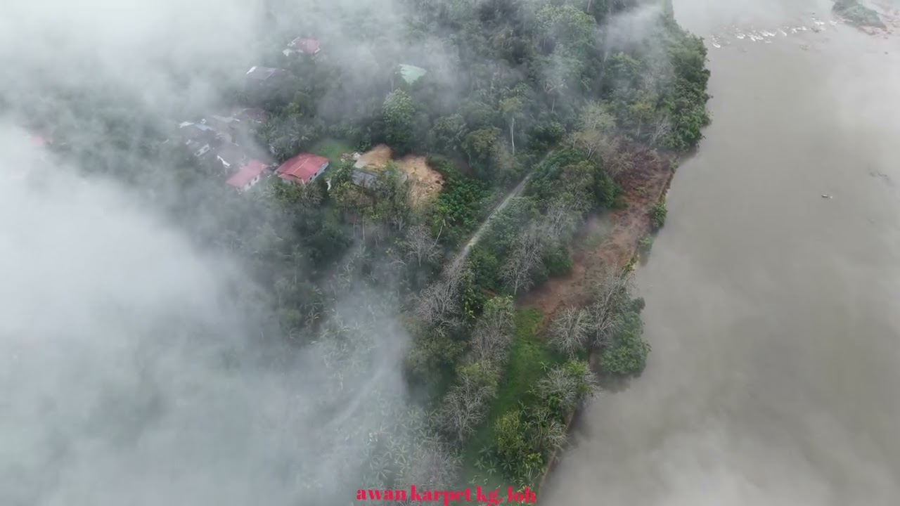 AWAN KARPET DI KG. LOH KARAI