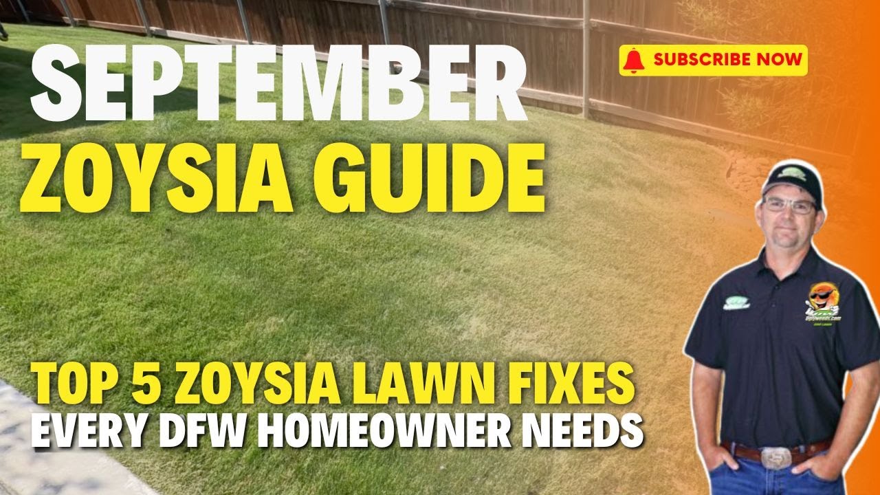 Why Zoysia Lawns Struggle in Texas (And How to Fix Them)