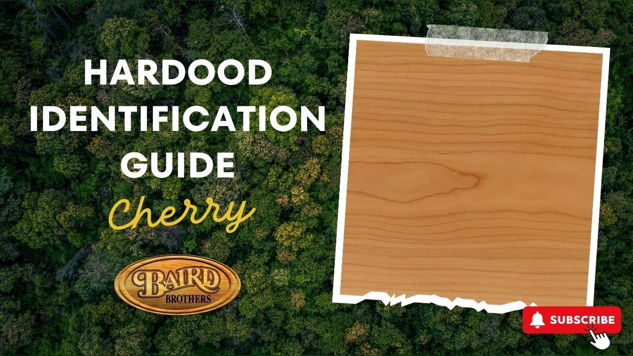 Which Type of Wood Is Right For Your Project? (Hardwood Identification Guide)