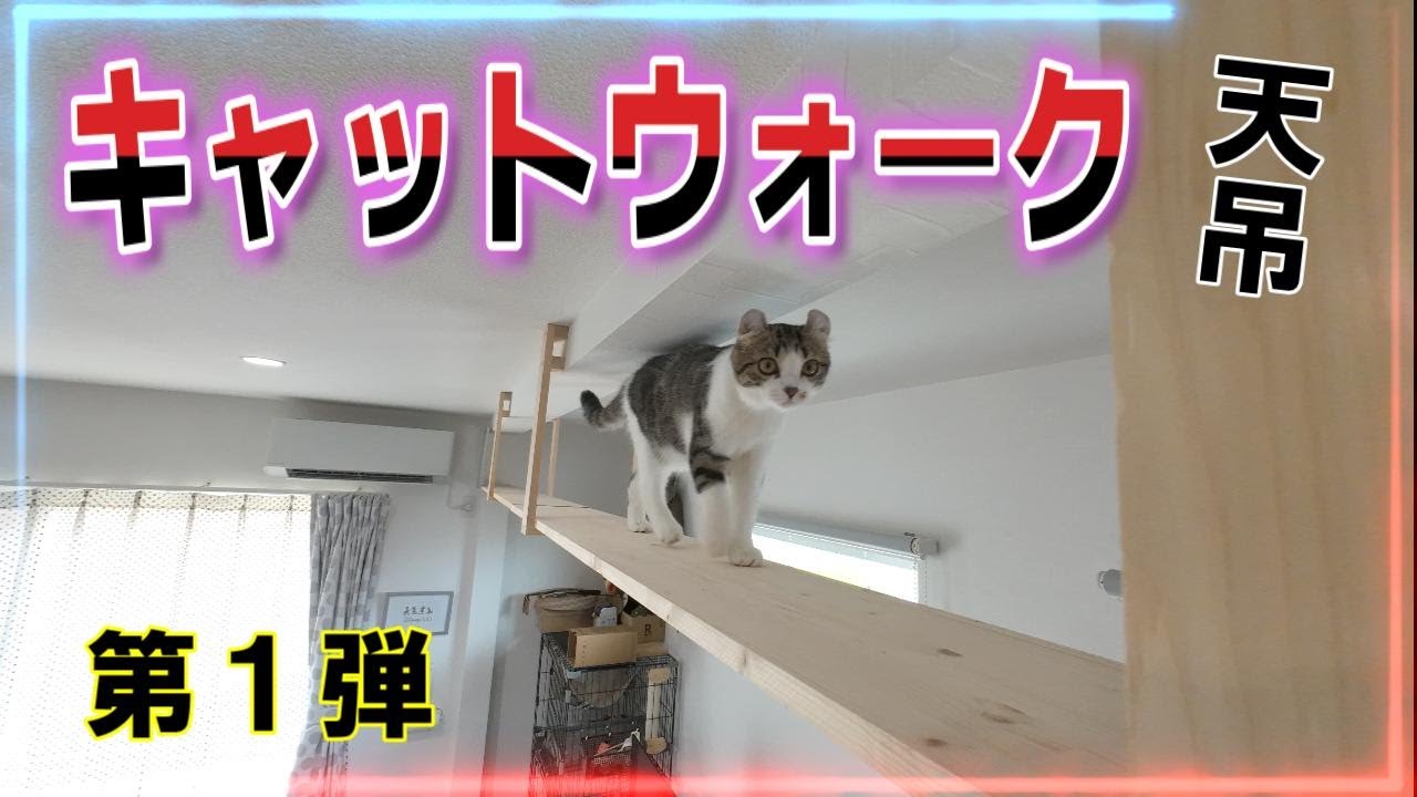 天井吊り下げキャットウォークを自作プレゼントしてみた！