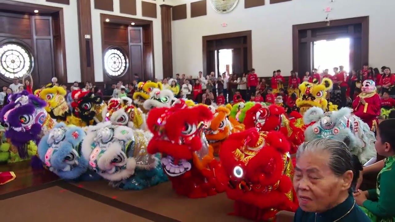 Lion Dance at Vietnam Buddhist Center Temple