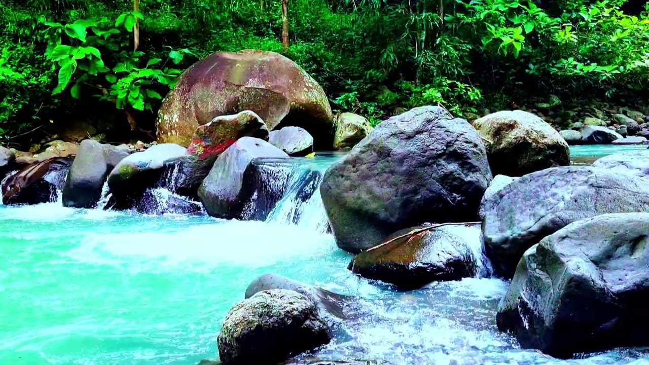 Soothing River Stream with Bird Sounds ASMR: Natural Therapy for Rest Yoga & Focus