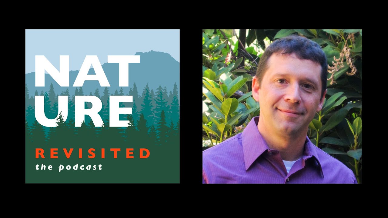 Revist: Craig Kauffman - Rights of Nature