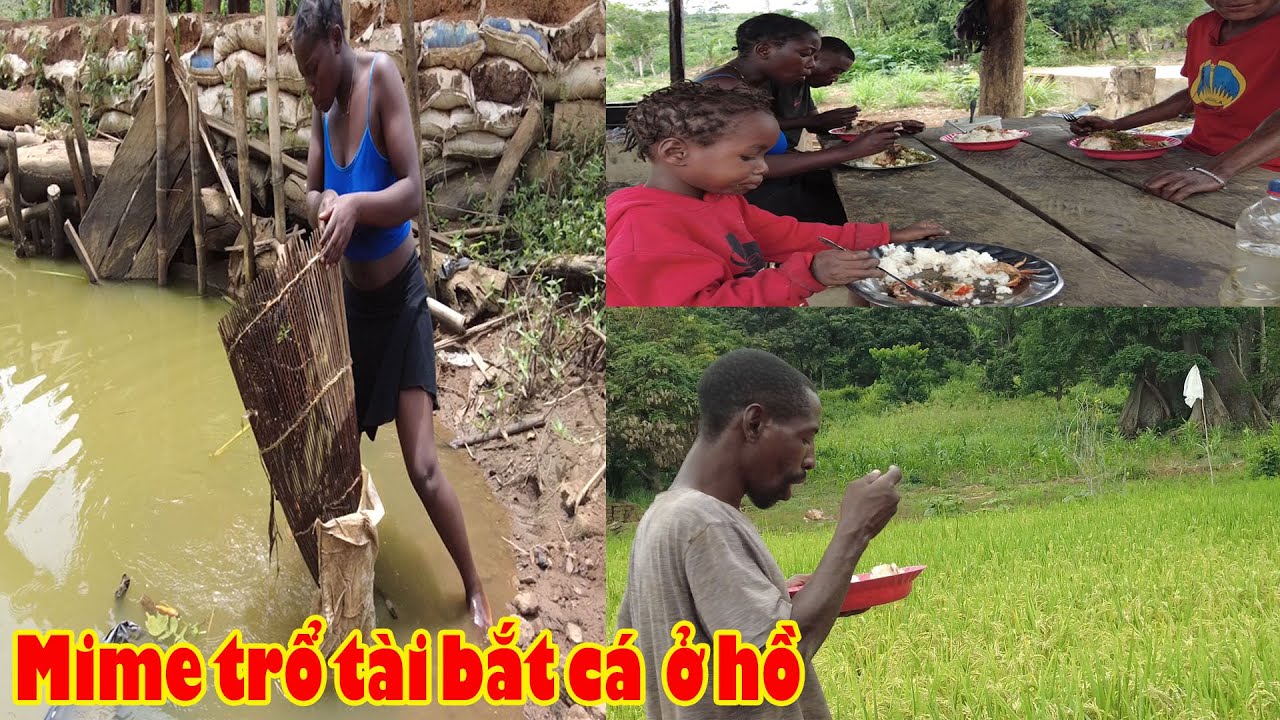 Cái kết ngọt ngào sau đêm đặt rọ của Mime || Tony Phong cuộc sống Châu Phi