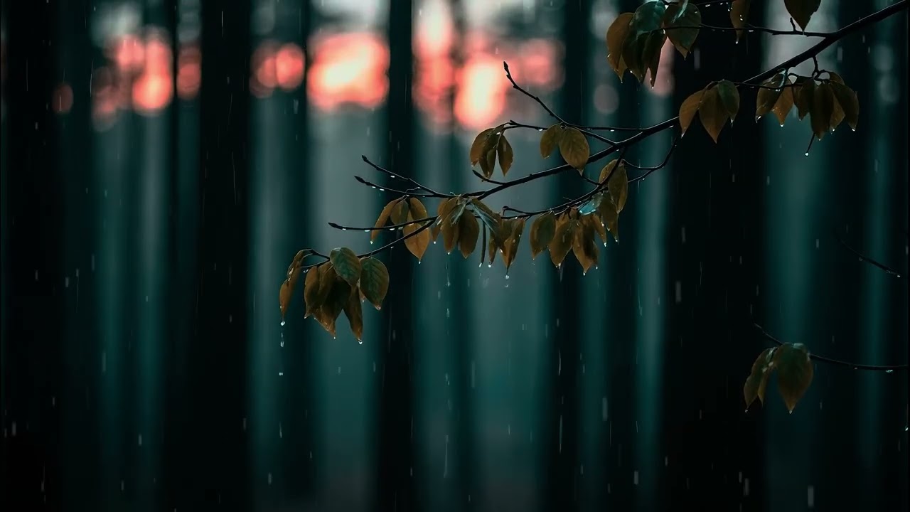 Rain Sounds for Deep Sleep | Meditation Music, Relaxation, Sleep Therapy, Serenity