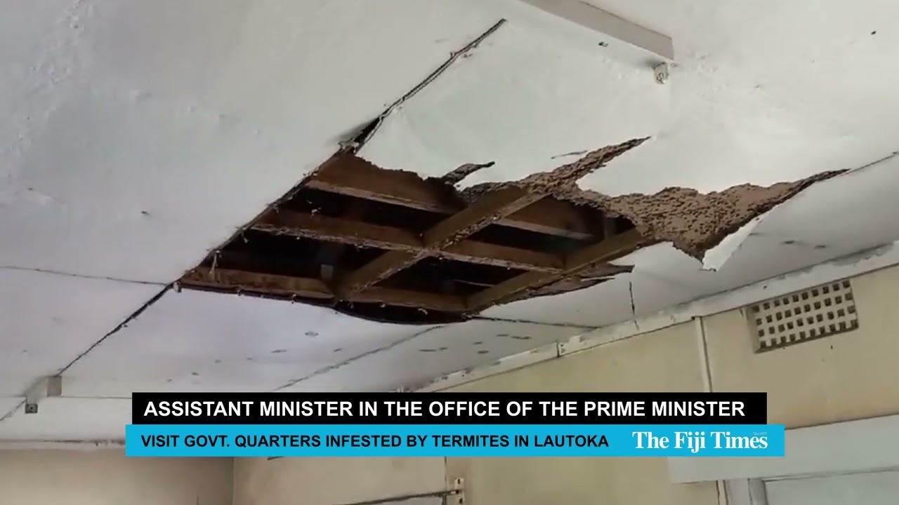 THE FIJI TIMES | Government Quarters in Lautoka Infested with Termites