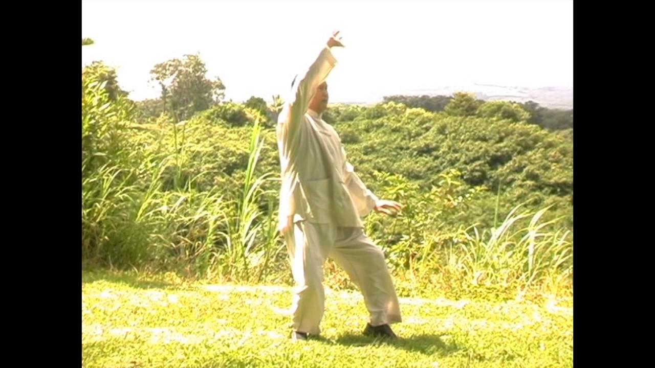 Dong Zeng Chen, Long Form Maui 2005 董增辰 董氏长拳