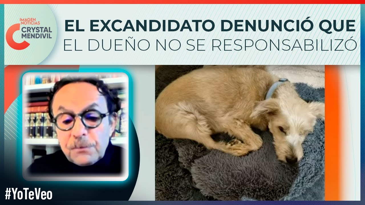 Un perro que no llevaba correa atacó y mató al perrito del excandidato presidencial Gabriel Quadri 