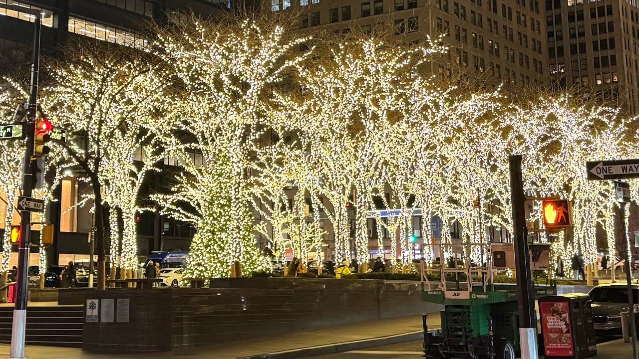 Walking In Zuccotti Park, Checking Out The Christmas Lights & Trees. Lower Manhattan, NYC.   121425