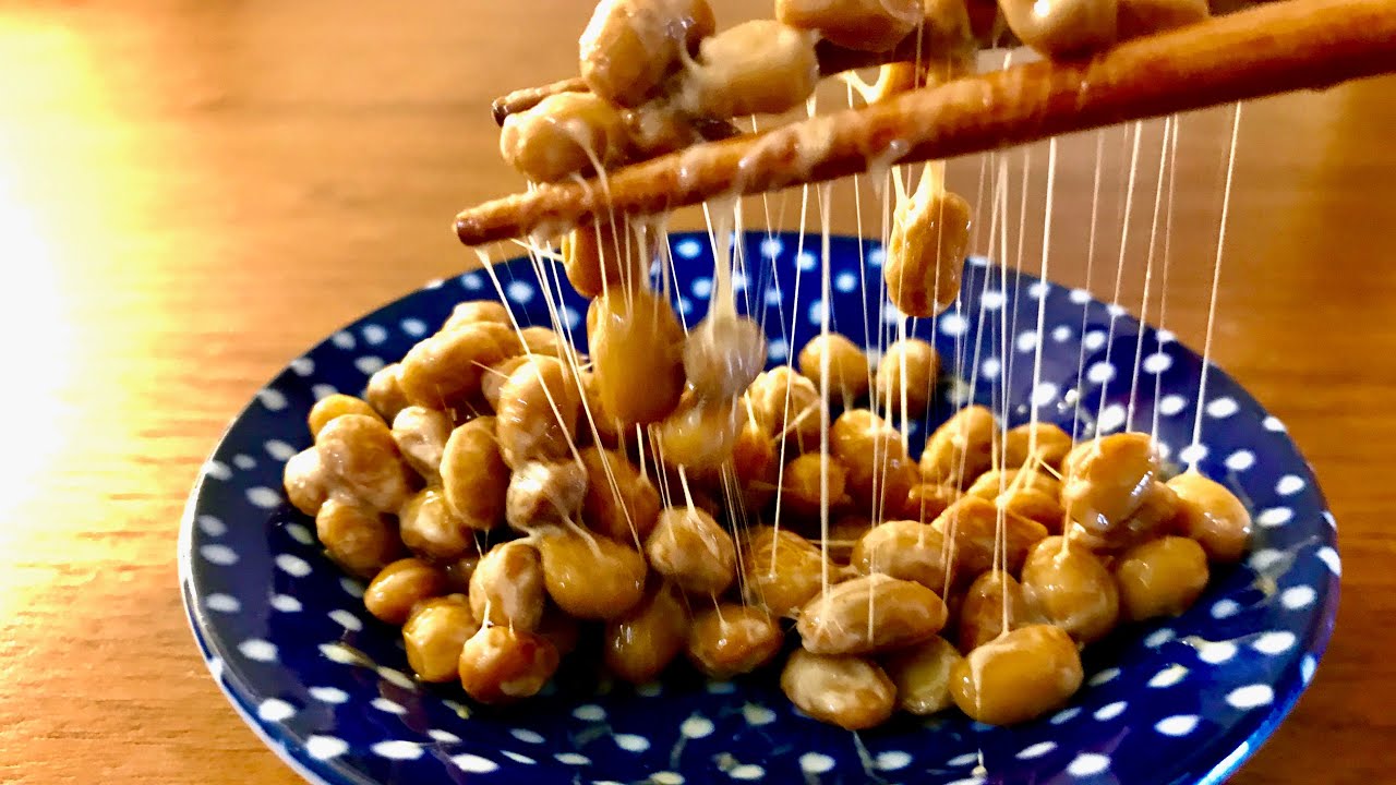 What is Natto? Natto under the microscope!