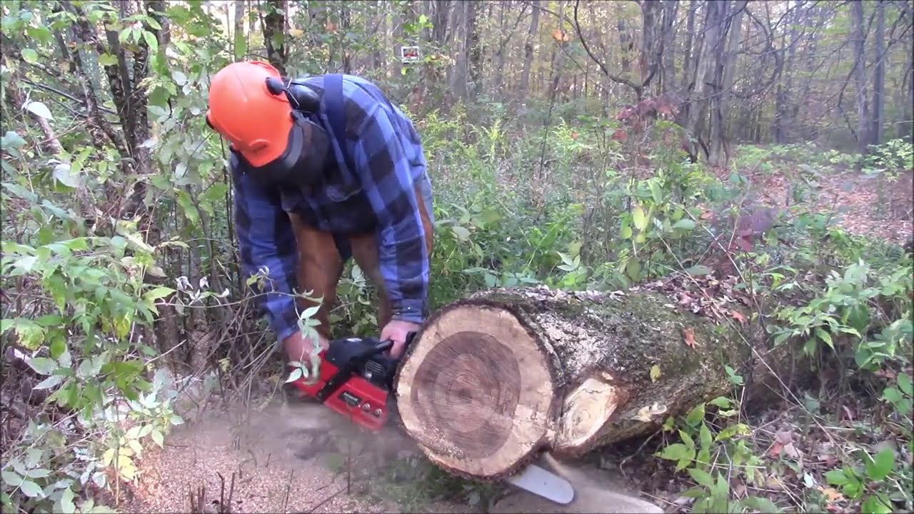 Jonsered cs2172 ( Husqvarna 372 X-torq ) vs. Jonsered cs2165 48mm 