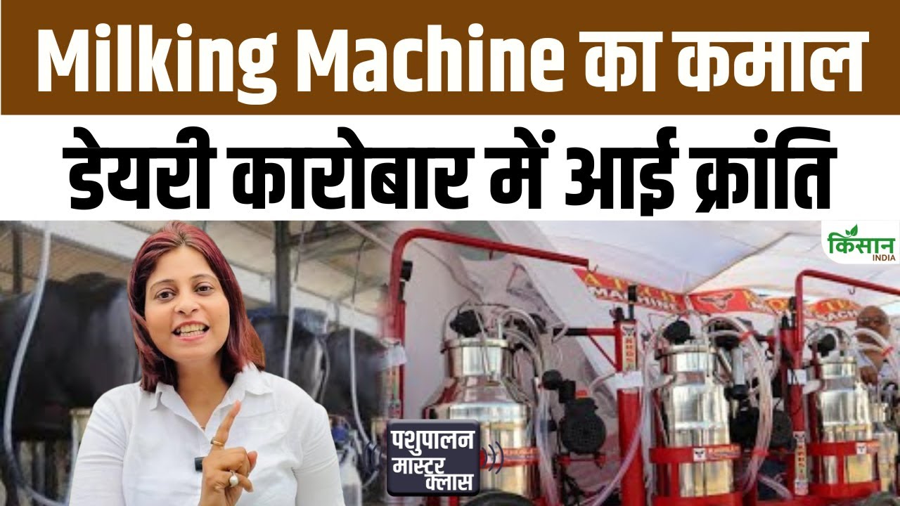 Milking Machine will extract milk from animals in minutes | Modern dairy technology for farmers