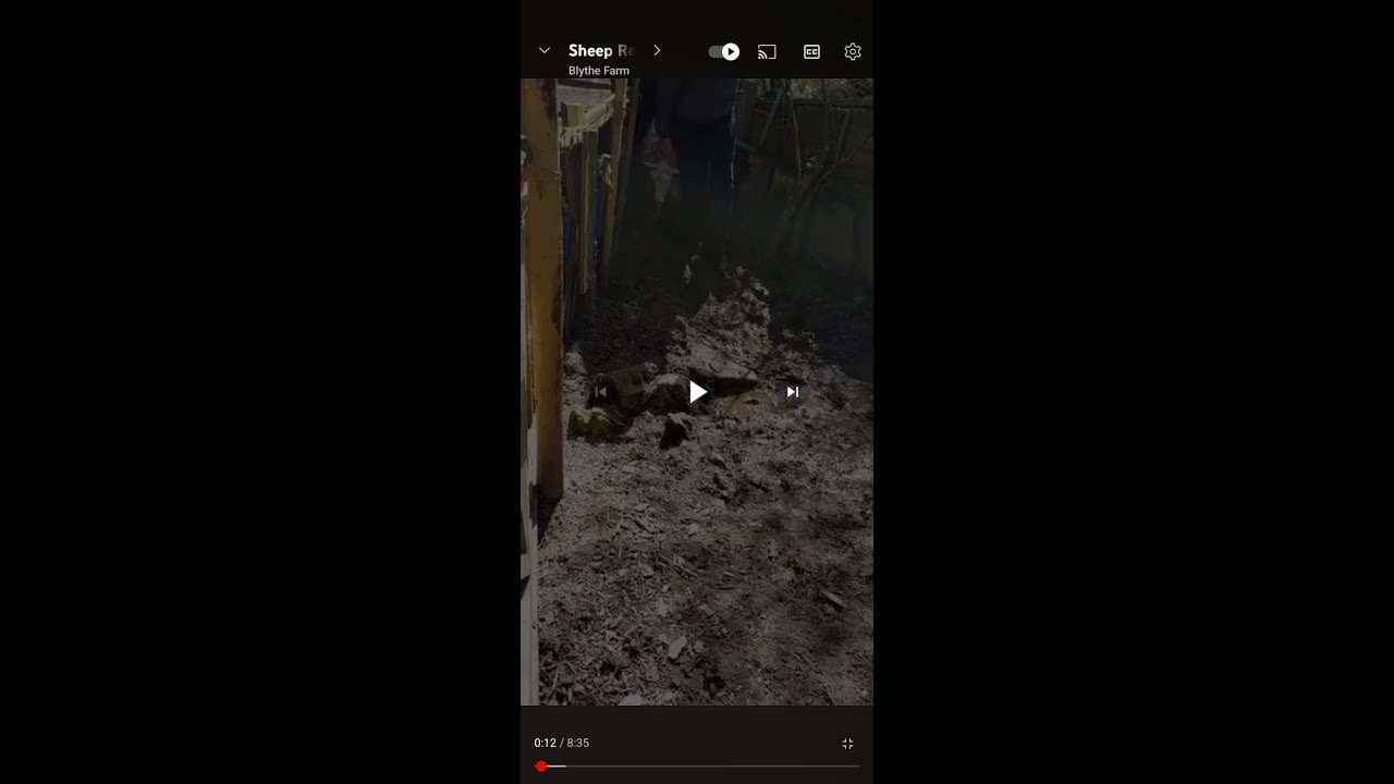 Sheep Rescue - Locked Away In Darkness For Two Years