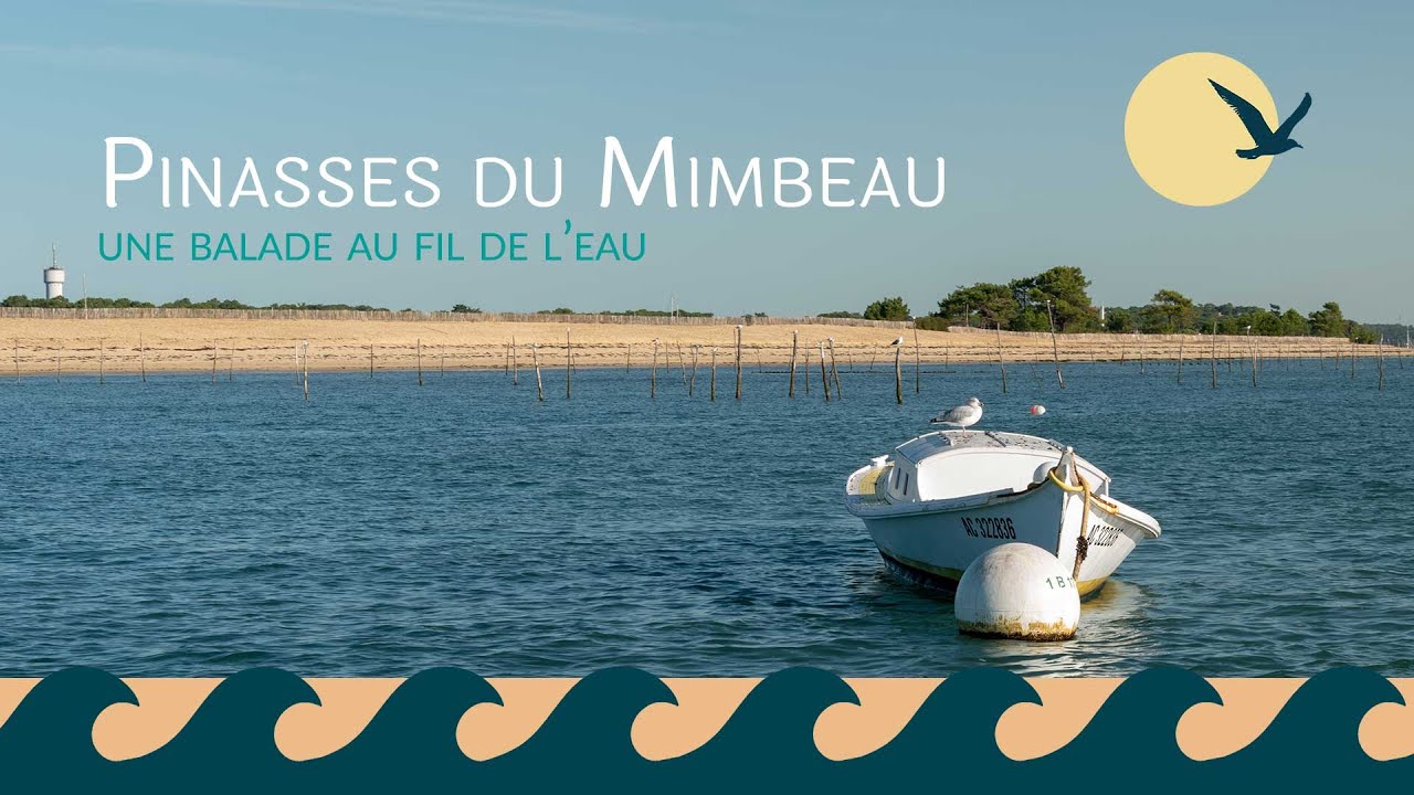 Pinasses du mimbeau