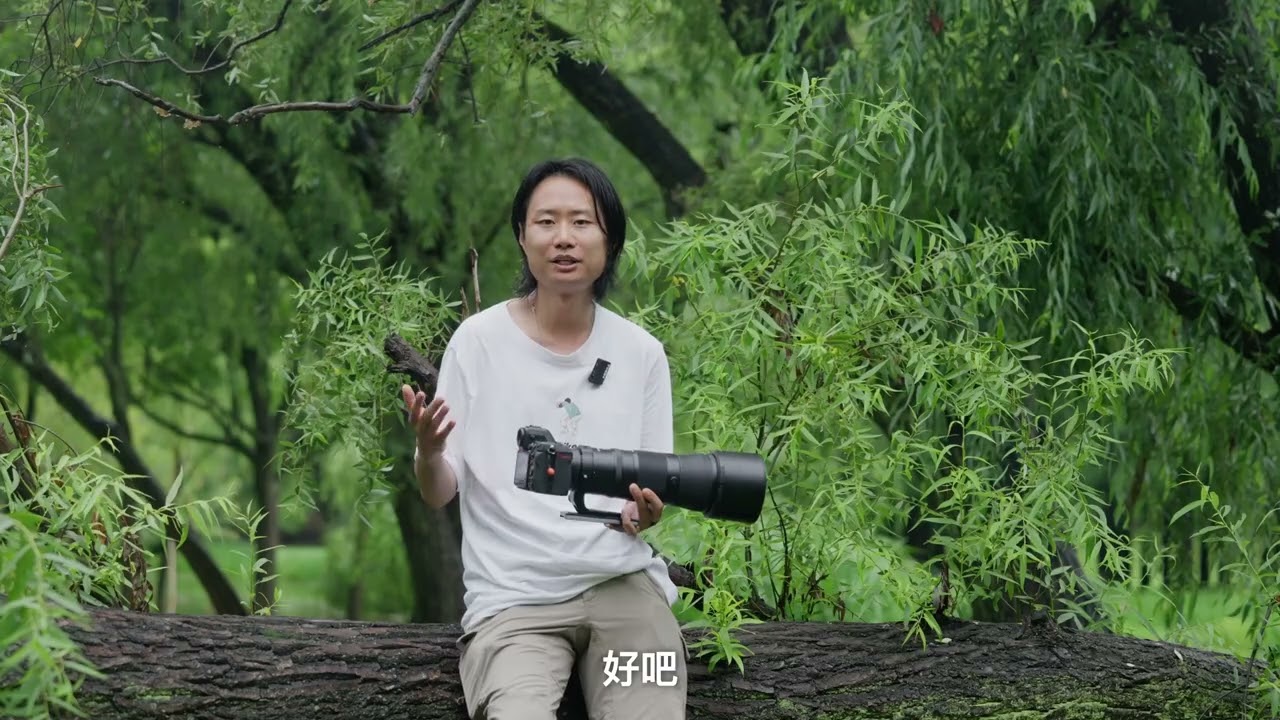 Nikkor Z180-600mmf/5.6-6.3VR Review