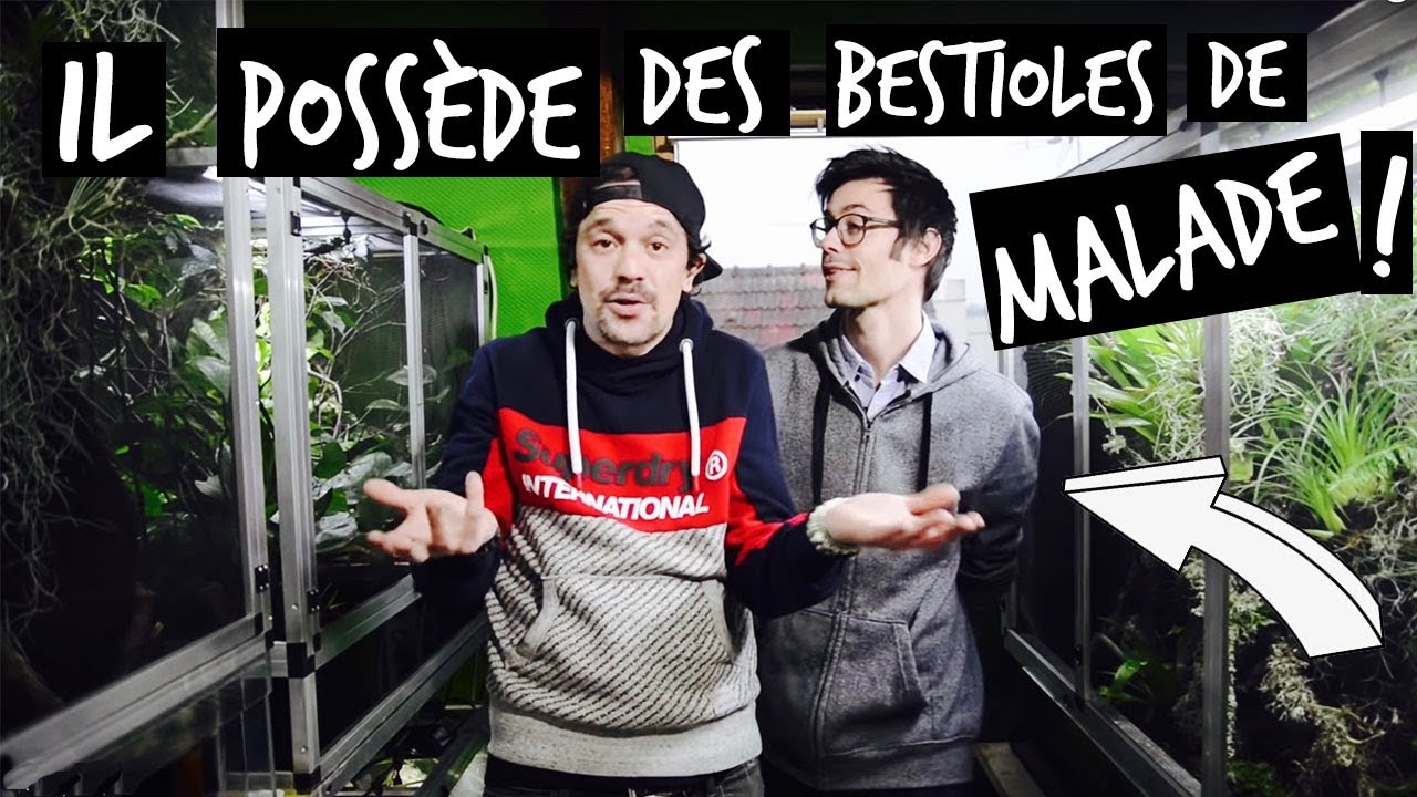 LA PLUS BELLE REPTILE-ROOM DE FRANCE ?-TOOPET