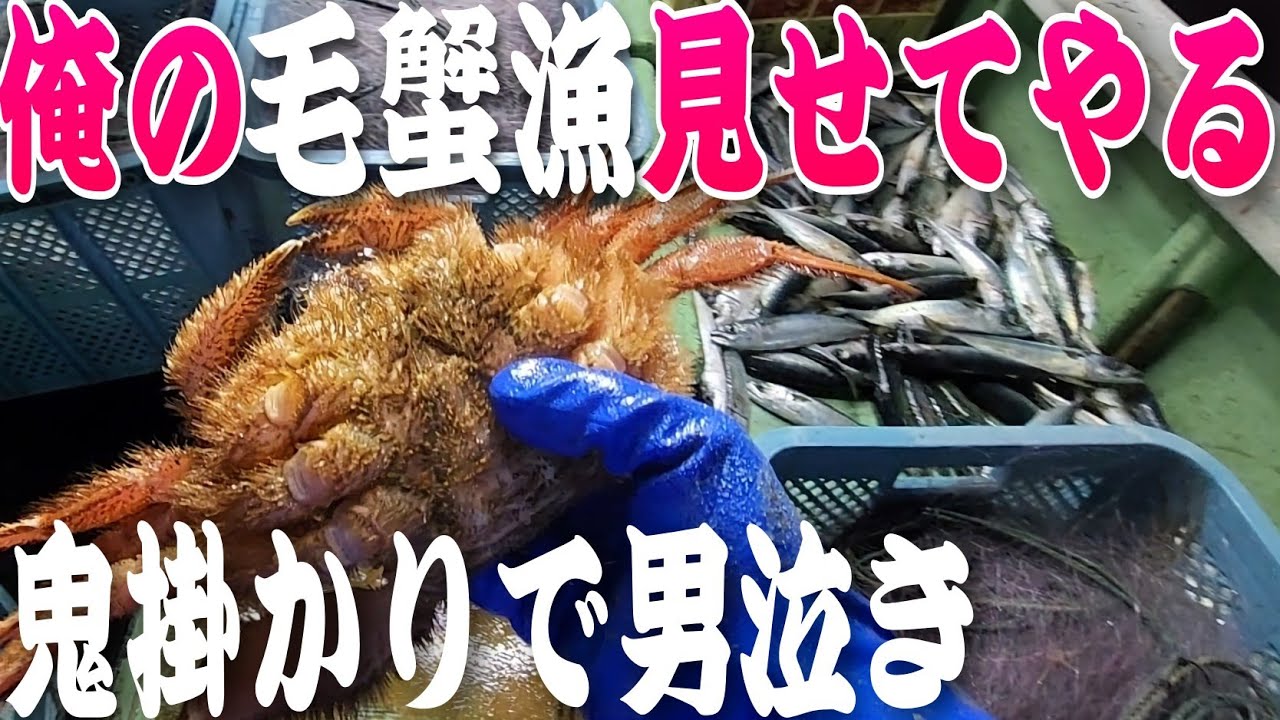 毛蟹漁師が吠える！鬼がかりで男泣き！荒波日本海刺し網漁業・新潟県糸魚川市