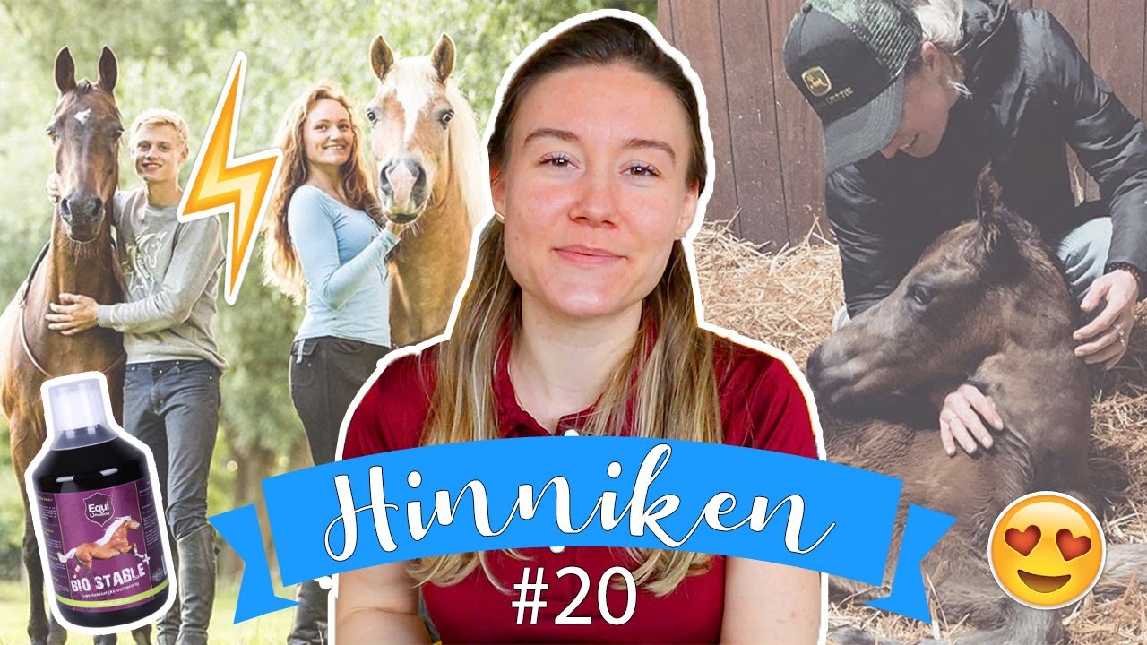 ALLES WORDT GECANCELD & NALANTA UIT ELKAAR?! | felinehoi HINNIKEN #20