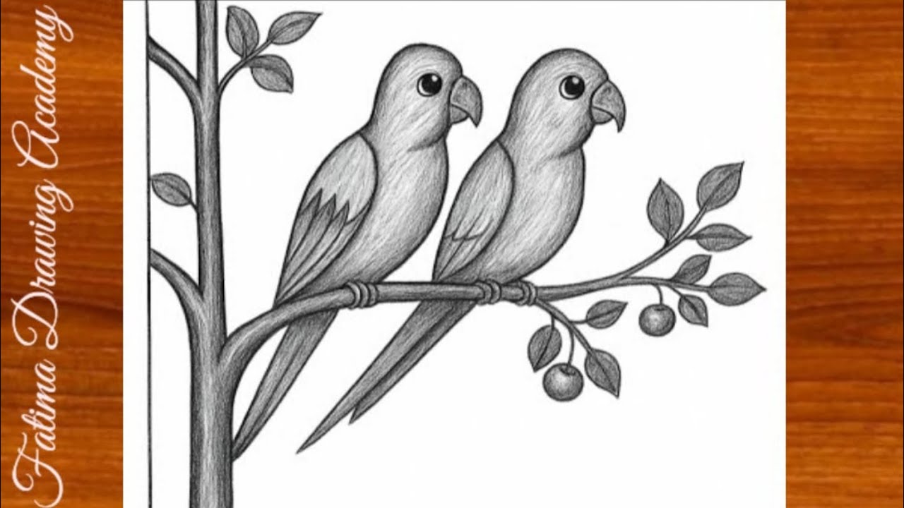 Beautiful Love Birds Pencil Drawing | Easy Step by Step