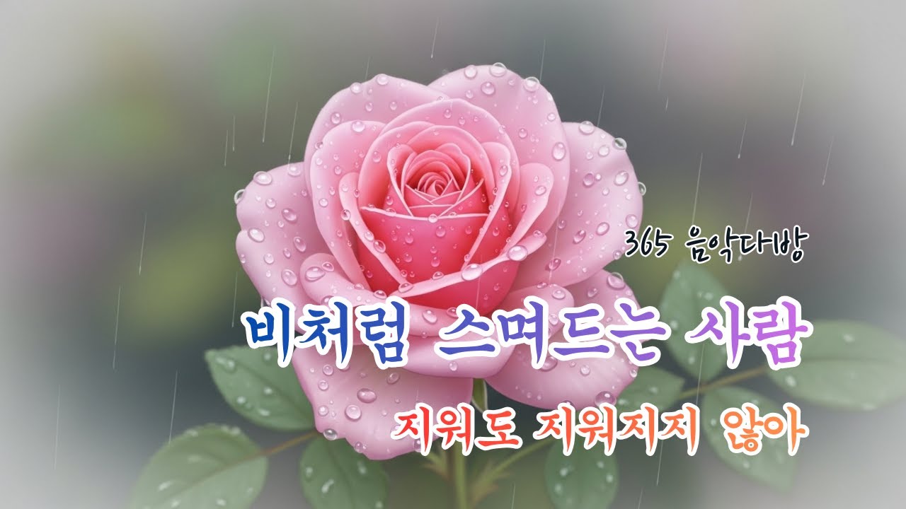 빗물처럼 스며들어 나를 적시는 그리움 | 지워지지 않는 밤 | 365 음악다방