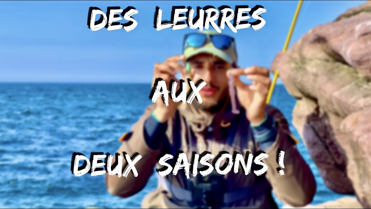 Des LEURRES aux DEUX SAISONS ! ( Ma boîte à leurres 2023 pour la pêche du bar du bord )