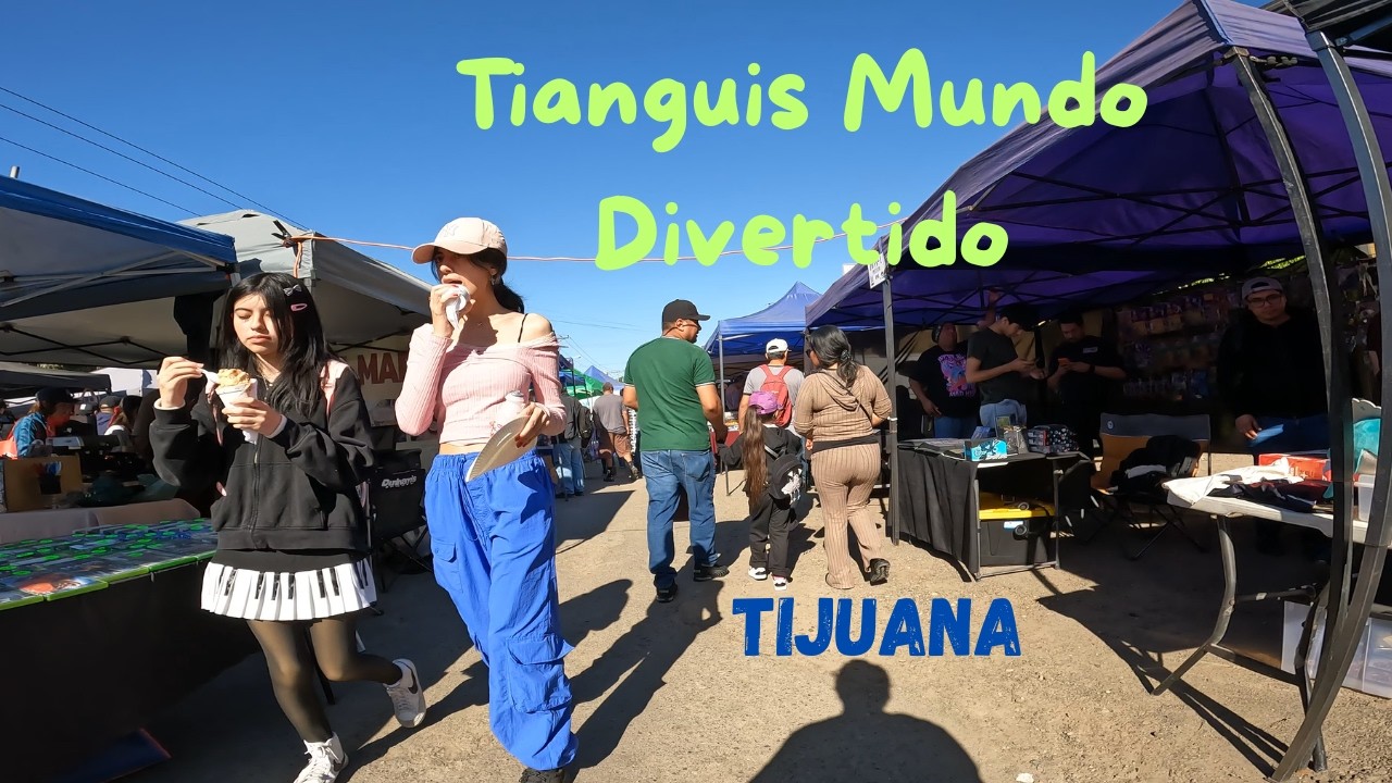 Tianguis mundo divertido Tijuana walking tour 8 de febrero de 2026 Dia muy soleado y muchos juguetes