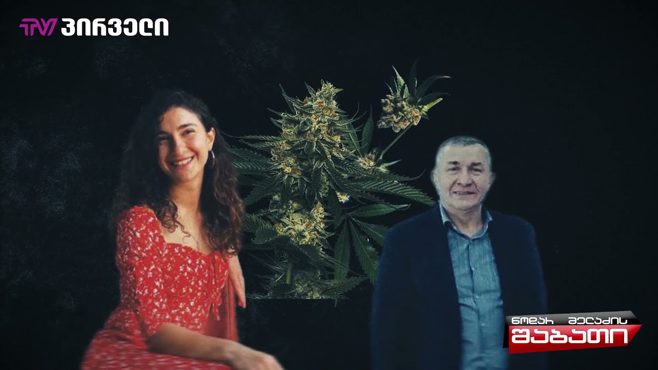 მარიხუანა ბიძინა ივანიშვილის ოჯახის წევრებისგან – 11 დეკემბერი 2021