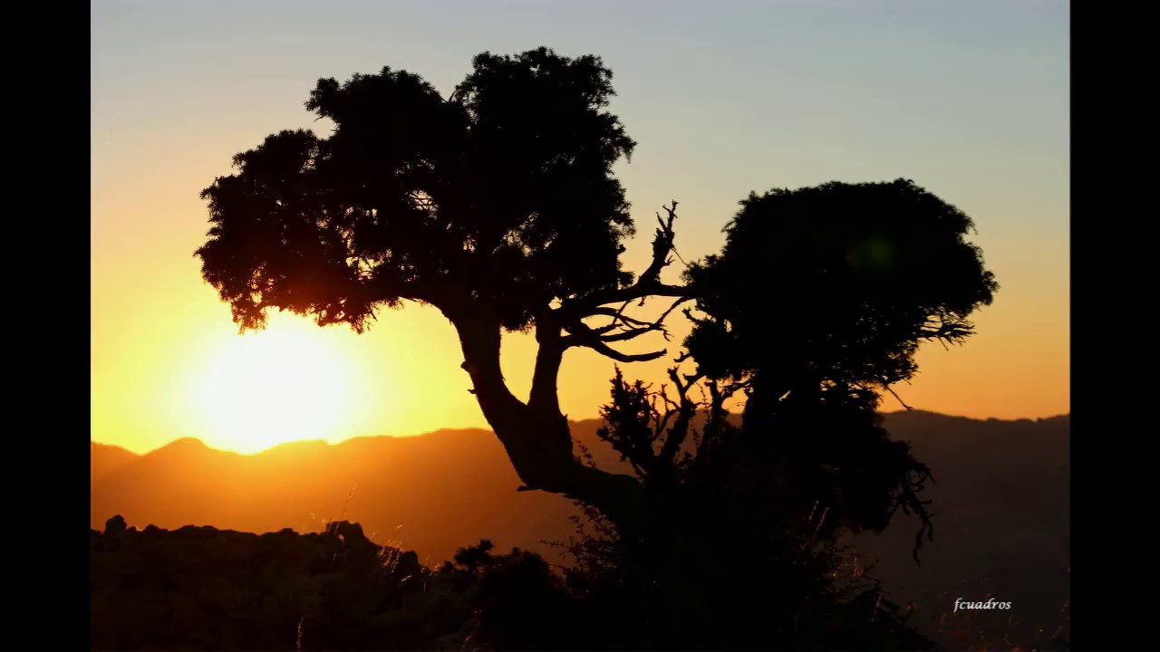 Santiago-Pontones, diferente por su naturaleza.