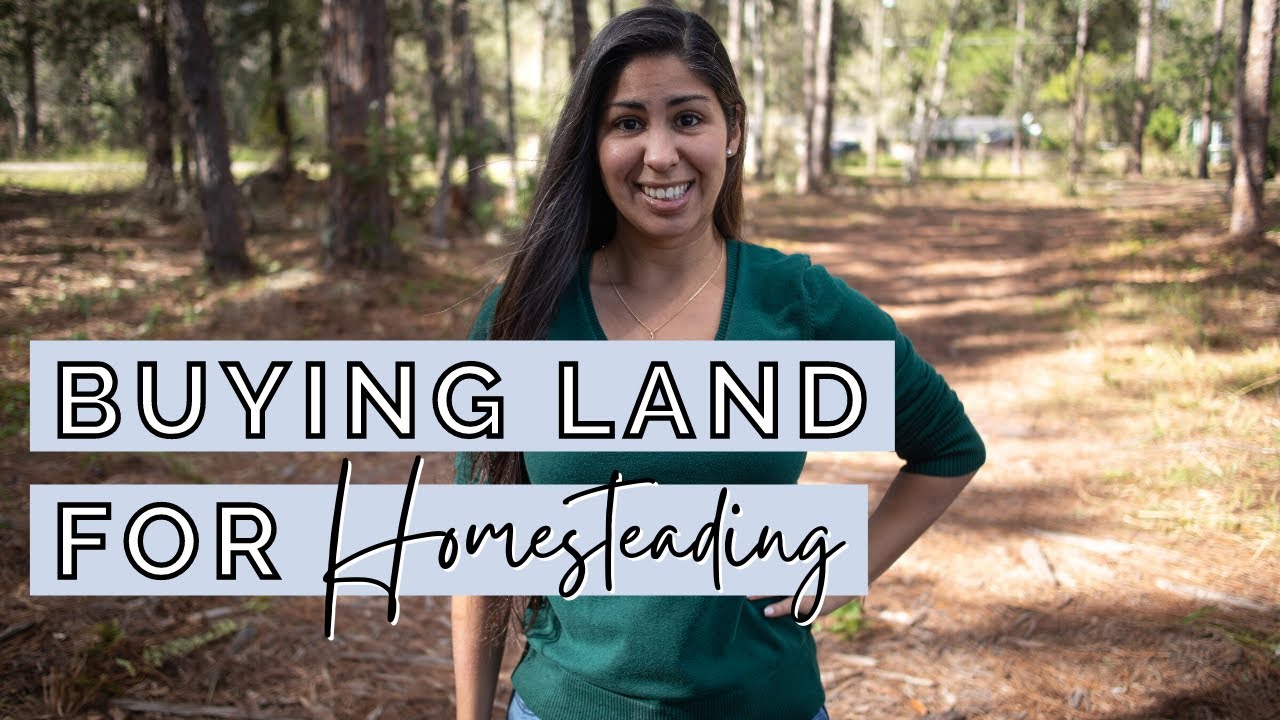 How to Buy Land for Homesteading