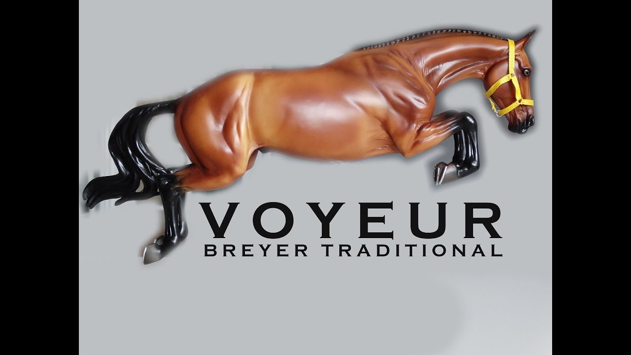 Voyeur - Breyer Traditional